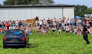 Hundestaffel der Polizeidirektion Marburg-Biedenkopf zeigte einen Teil der Hundeausbildung