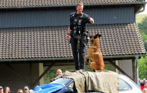 Polizeihundevorführung im Polizeioldtimer Museum